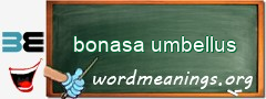 WordMeaning blackboard for bonasa umbellus